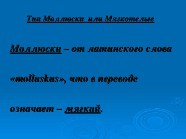 Тип Моллюски или Мягкотелые Моллюски – от латинского слова  « molluskus », что в переводе  означает – мягкий .