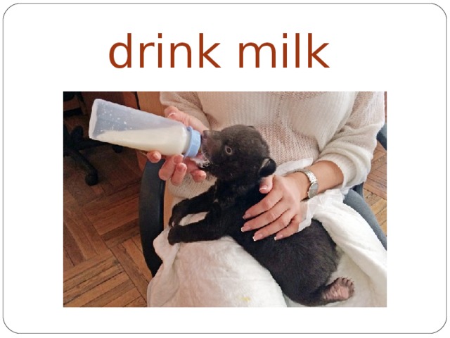 drink milk