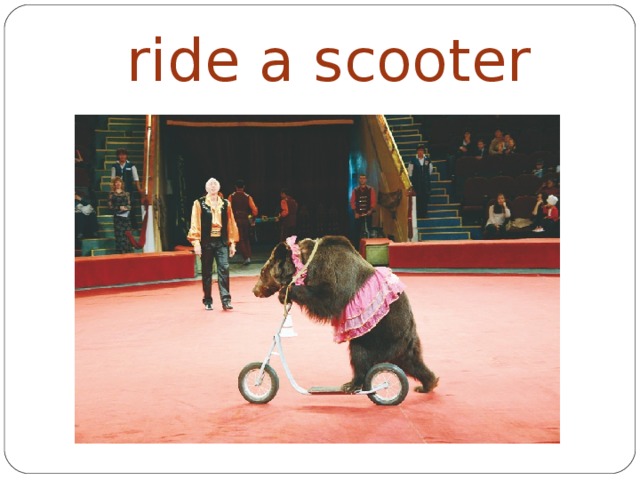 ride a scooter