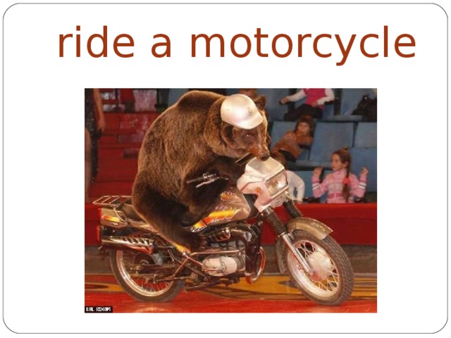 ride a motorcycle