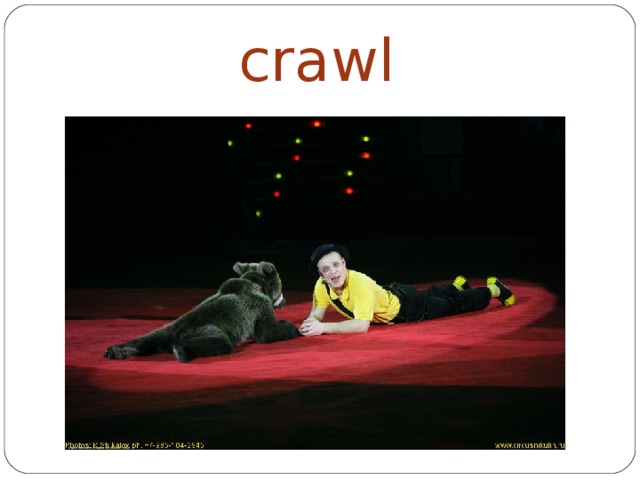 crawl