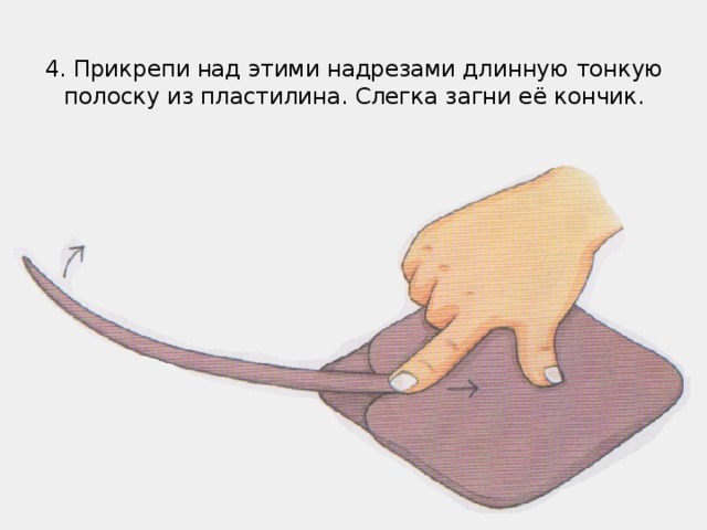 4. Прикрепи над этими надрезами длинную тонкую полоску из пластилина. Слегка загни её кончик.