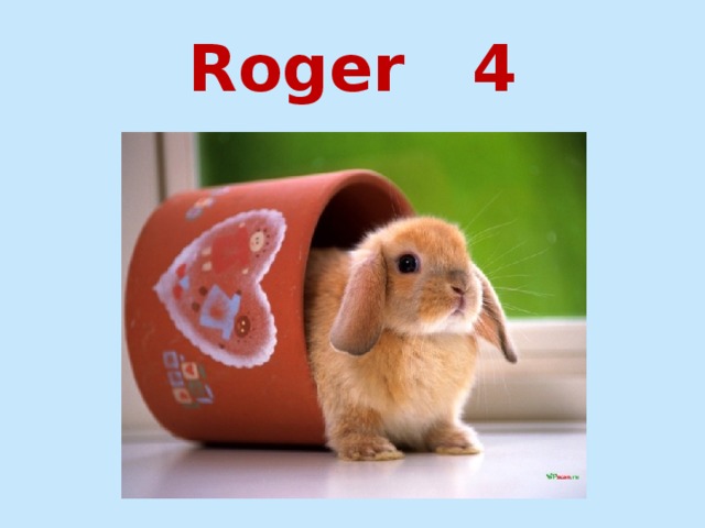 Roger 4