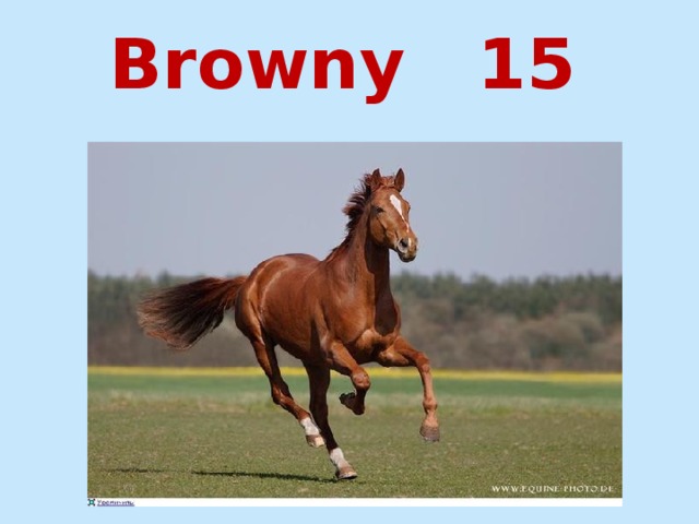 Browny 15