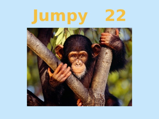 Jumpy 22