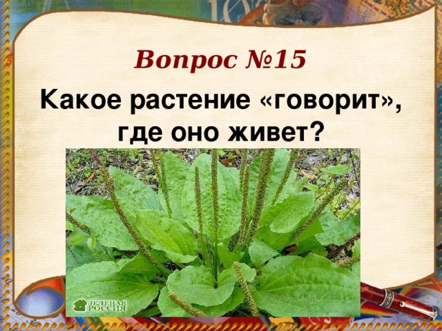 Вопрос №15 Какое растение «говорит», где оно живет?