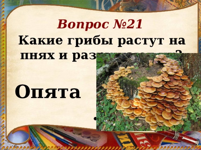 Вопрос №21 Какие грибы растут на пнях и разрушают их?      Опята .