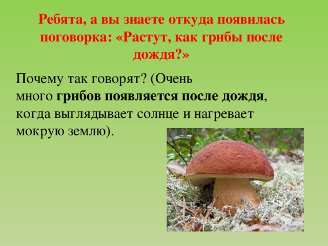 Ребята, а вы знаете откуда появилась поговорка: «Растут, как грибы после дождя?» Почему так говорят? (Очень много  грибов   появляется   после   дождя , когда выглядывает солнце и нагревает мокрую землю).