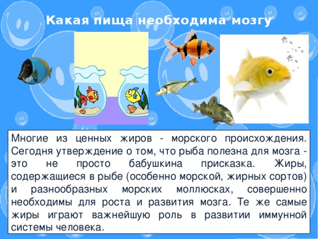 Какая пища необходима мозгу    Многие из ценных жиров - морского происхождения. Сегодня утверждение о том, что рыба полезна для мозга - это не просто бабушкина присказка. Жиры, содержащиеся в рыбе (особенно морской, жирных сортов) и разнообразных морских моллюсках, совершенно необходимы для роста и развития мозга. Те же самые жиры играют важнейшую роль в развитии иммунной системы человека.