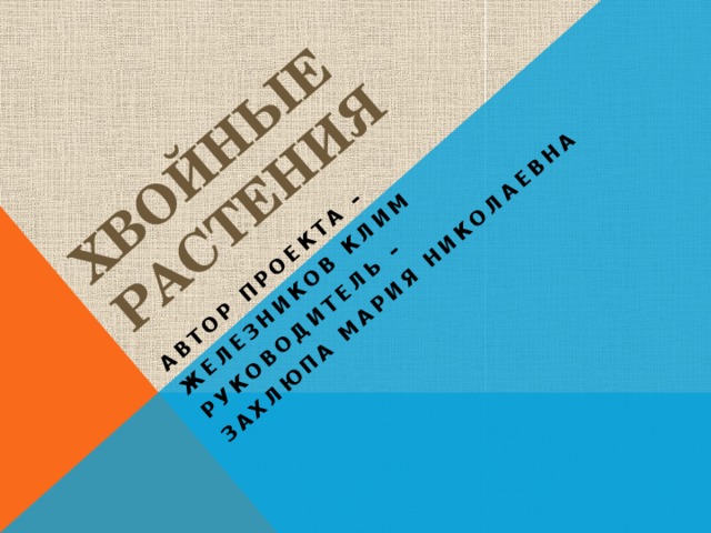 Хвойные растения Автор проекта – Железников Клим Руководитель – Захлюпа Мария Николаевна