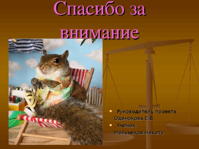 Спасибо за внимание Руководитель проекта:  Одинокова Е.В. Ученик:  Мельников Никита