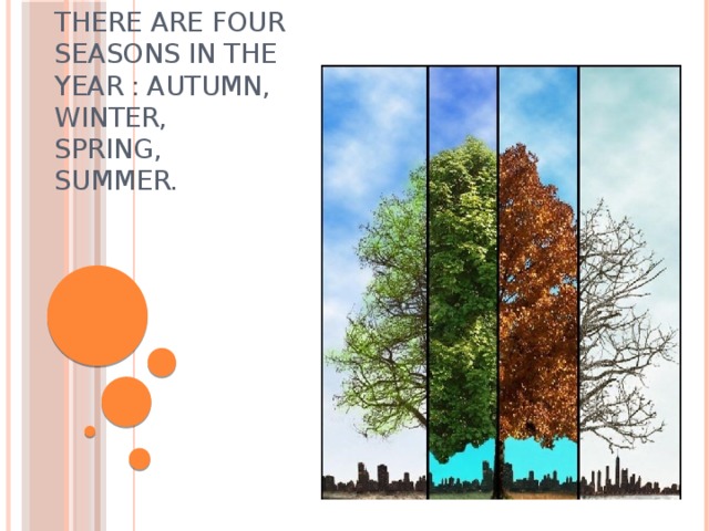 There are four seasons in the year  :  Autumn,  Winter,   Spring,   Summer.