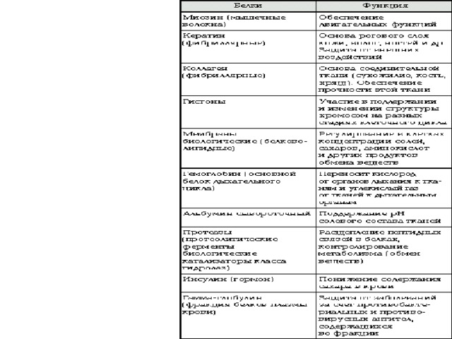 Классификация белков по их функциям • Структурные белки – коллаген, склеротин, эластин. • Каталитические белки – полимеразы, рибонуклеазы. • Регуляторные белки – инсулин, глюкагон. • Транспортные белки – гемоглобин, гемоцианин . • Защитные белки – антитела, фибриноген. • Двигательные, или мышечные, белки – миозин, актин. • Запасательные белки – казеин, альбумин. • Токсичные белки – змеиный яд, токсины. • Сигнальные белки – рецепторы.