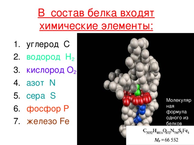В состав белка входят химические элементы: углерод C водород H 2 кислород O 2  азот N сера S фосфор P  железо Fe Молекулярная формула  одного из белков