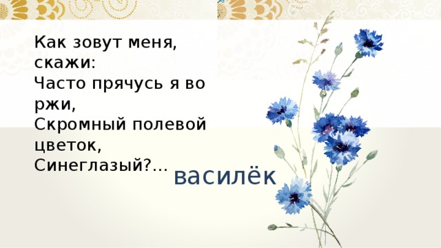 Как зовут меня, скажи:  Часто прячусь я во ржи,  Скромный полевой цветок,  Синеглазый?... василёк