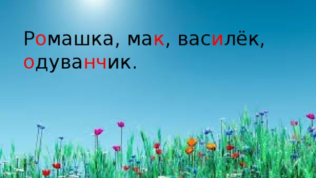 Р о машка, ма к , вас и лёк, о дува нч ик.