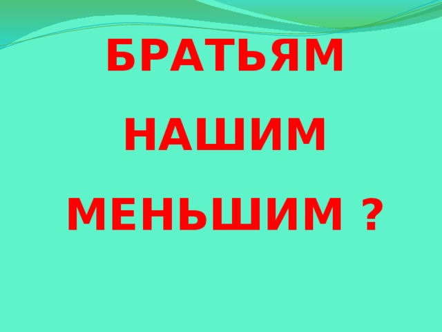 КАК ПОМОЧЬ БРАТЬЯМ НАШИМ МЕНЬШИМ ?