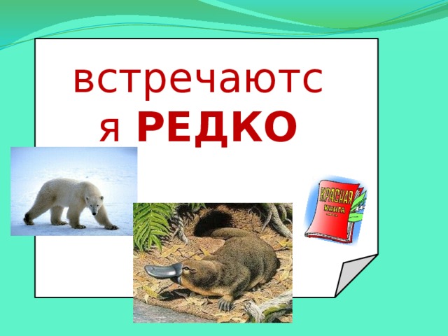 встречаются РЕДКО