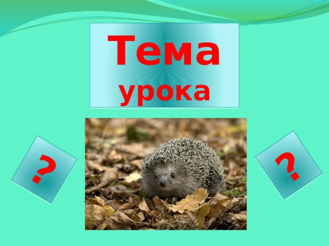 ? ? Тема урока