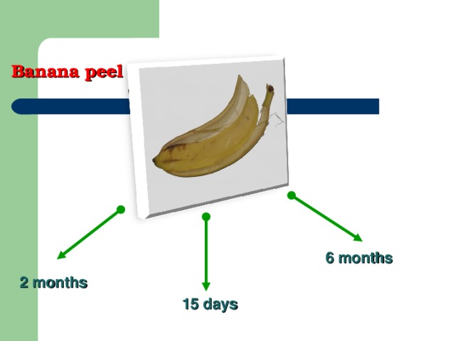 Banana peel 6 months 2 months 15 days