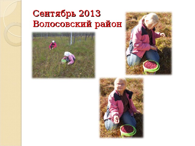 Сентябрь 2013  Волосовский район