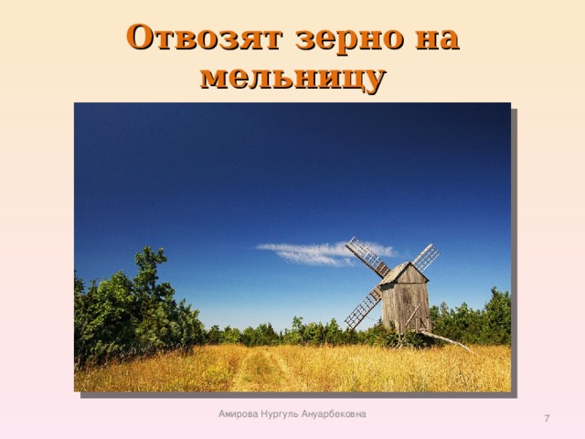 Отвозят зерно на мельницу Амирова Нургуль Ануарбековна