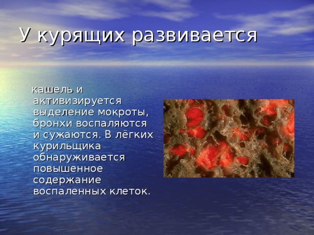 У курящих развивается  кашель и активизируется выделение мокроты, бронхи воспаляются и сужаются. В лёгких курильщика обнаруживается повышенное содержание воспаленных клеток.