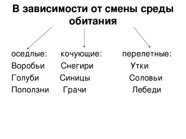 В зависимости от смены среды обитания оседлые: кочующие: перелетные: Воробьи Снегири Утки Голуби Синицы Соловьи Поползни Грачи Лебеди