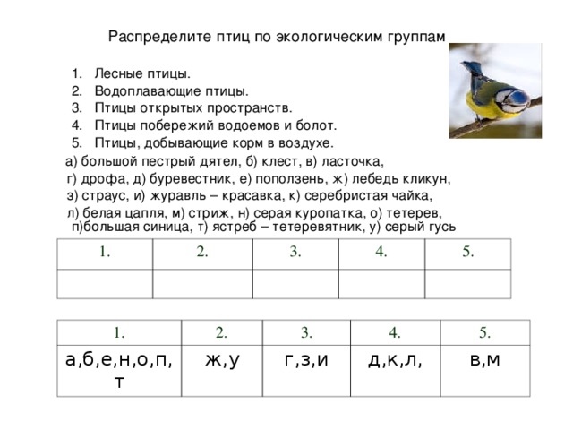 Распределите птиц по экологическим группам Лесные птицы. Водоплавающие птицы. Птицы открытых пространств. Птицы побережий водоемов и болот. Птицы, добывающие корм в воздухе. Лесные птицы. Водоплавающие птицы. Птицы открытых пространств. Птицы побережий водоемов и болот. Птицы, добывающие корм в воздухе.  а) большой пестрый дятел, б) клест, в) ласточка,  г) дрофа, д) буревестник, е) поползень, ж) лебедь кликун,  з) страус, и) журавль – красавка, к) серебристая чайка,  л) белая цапля, м) стриж, н) серая куропатка, о) тетерев, п)большая синица, т) ястреб – тетеревятник, у) серый гусь 1. 2. 3. 4. 5. 1. а,б,е,н,о,п,т 2. 3. ж,у 4. г,з,и 5. д,к,л, в,м