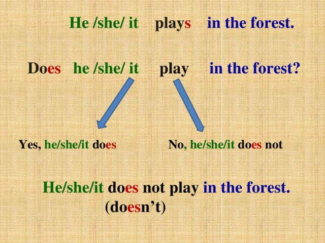 He /she/ it play s  in the forest.   Do es  he /she/ it play in the forest? Yes, he/she/it do es No , he/she/it do es not He/she/it do es not play in the forest.  (do es n’t)
