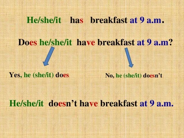 He/she/it  ha s breakfast at 9 a.m . Do es  he/she/it  ha ve breakfast at 9 a.m ? Yes , he (she/it) do es No, he (she/it) do es n’t He/she/it do es n’t ha ve breakfast at 9 a.m.