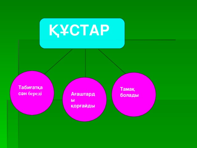 ҚҰСТАР  Табиғатқа сән береді   Тамақ болады   Ағаштарды қорғайды