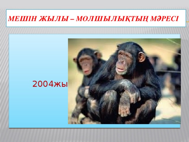 Мешін жылы – молшылықтың мәресі  2004жыл