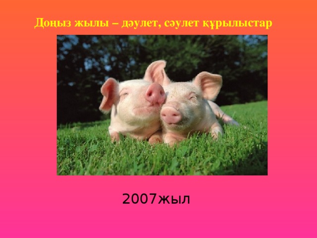 Доңыз жылы – дәулет, сәулет құрылыстар 2007жыл