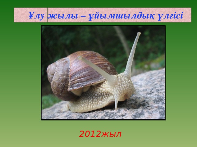 Ұлу жылы – ұйымшылдық үлгісі  2012жыл