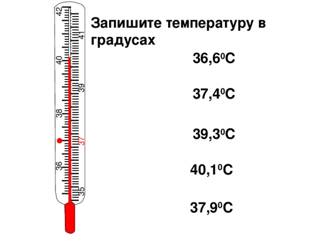 I IIII I IIII I IIII I IIII I IIII I IIII I IIII I IIII I IIII I IIII I IIII I IIII I IIII I IIII I i I IIII I IIII I IIII I IIII I IIII I IIII I IIII I IIII I IIII I IIII I IIII I IIII I IIII I IIII I 42 41 40 39 38 37 36 35 Запишите температуру в градусах 36,6 0 С 37,4 0 С 39,3 0 С 40,1 0 С 37,9 0 С