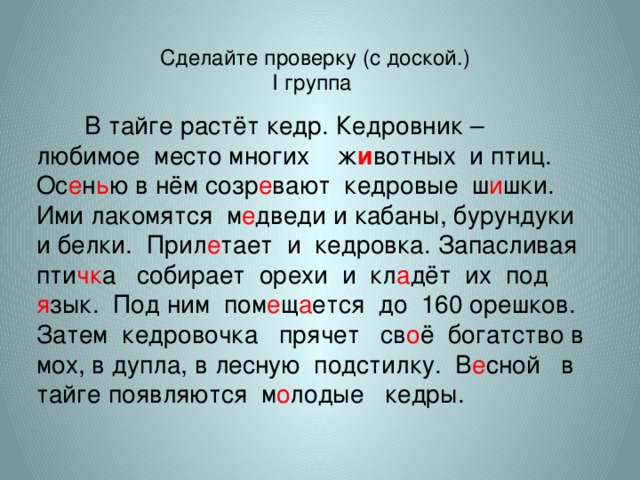 Сделайте проверку (с доской.) І группа  В тайге растёт кедр. Кедровник – любимое место многих ж и вотных и птиц. Ос е н ь ю в нём созр е вают кедровые ш и шки. Ими лакомятся м е дведи и кабаны, бурундуки и белки. Прил е тает и кедровка. Запасливая пти чк а собирает орехи и кл а дёт их под я зык. Под ним пом е щ а ется до 160 орешков. Затем кедровочка прячет св о ё богатство в мох, в дупла, в лесную подстилку. В е сной в тайге появляются м о лодые кедры.