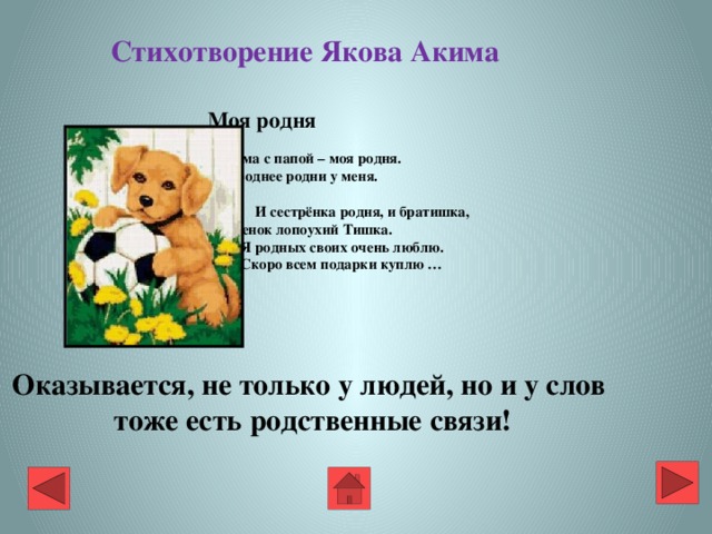 Стихотворение Якова Акима Моя родня    Мама с папой – моя родня.  Нет роднее родни у меня.   И сестрёнка родня, и братишка,  И щенок лопоухий Тишка.  Я родных своих очень люблю.  Скоро всем подарки куплю …   Оказывается, не только у людей, но и у слов  тоже есть родственные связи!