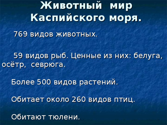 Животный мир Каспийского моря.