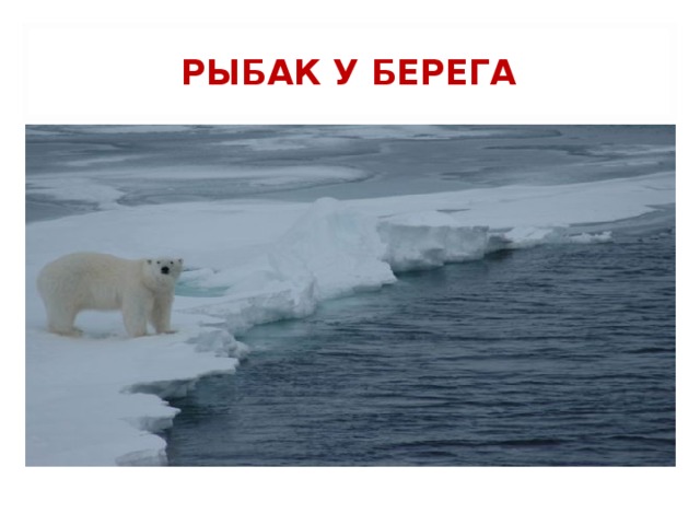 РЫБАК У БЕРЕГА