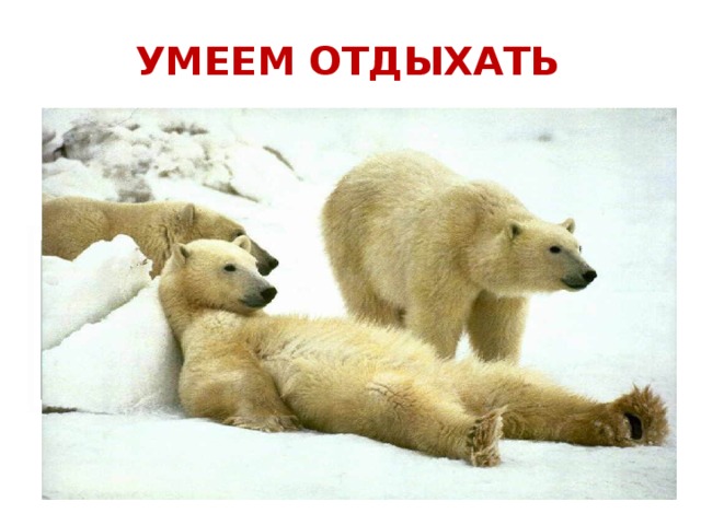 УМЕЕМ ОТДЫХАТЬ