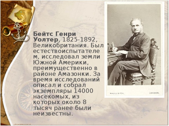 Бейтс Генри Уолтер , 1825-1892, Великобритания. Был естествоиспытателем, исследовал земли Южной Америки, преимущественно в районе Амазонки. За время исследований описал и собрал экземпляры 14000 насекомых, из которых около 8 тысяч ранее были неизвестны.