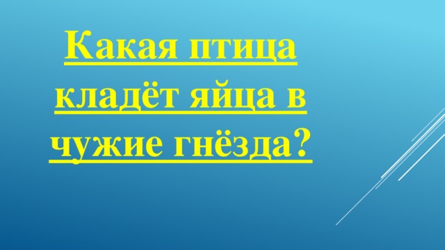 Какая птица кладёт яйца в чужие гнёзда?