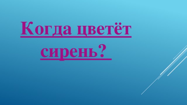 Когда цветёт сирень?