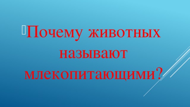 Почему животных называют млекопитающими?