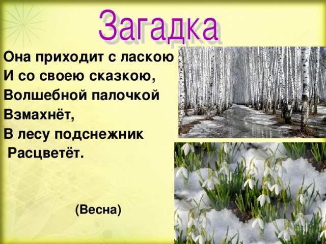 Она приходит с ласкою И со своею сказкою, Волшебной палочкой Взмахнёт, В лесу подснежник  Расцветёт.   (Весна)