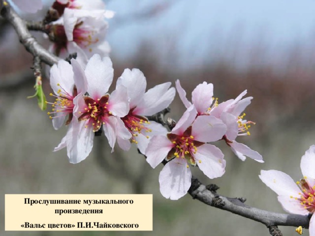 Прослушивание музыкального произведения  «Вальс цветов» П.И.Чайковского