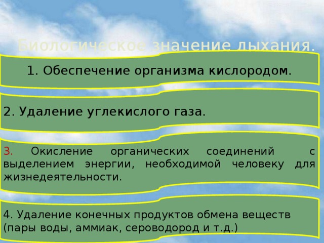 Биологическое значение дыхания. 1. Обеспечение организма кислородом. 2. Удаление углекислого газа.   3. Окисление органических соединений с выделением энергии, необходимой человеку для жизнедеятельности.   4. Удаление конечных продуктов обмена веществ (пары воды, аммиак, сероводород и т.д.)