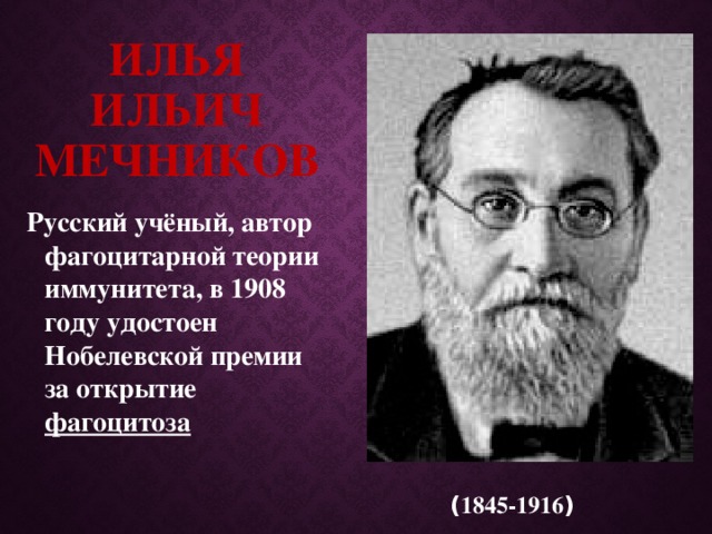 Илья Ильич Мечников Русский учёный, автор фагоцитарной теории иммунитета, в 1908 году удостоен Нобелевской премии за открытие фагоцитоза ( 1845-1916 )