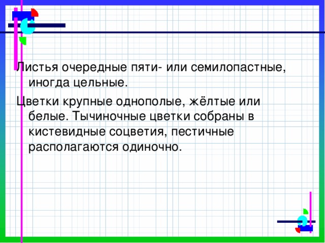 Листья очередные пяти- или семилопастные, иногда цельные.  Цветки крупные однополые, жёлтые или белые. Тычиночные цветки собраны в кистевидные соцветия, пестичные располагаются одиночно.